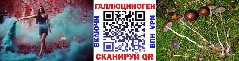 Псилоцибиновые грибы Magic Shrooms  сколько стоит  Армавир 