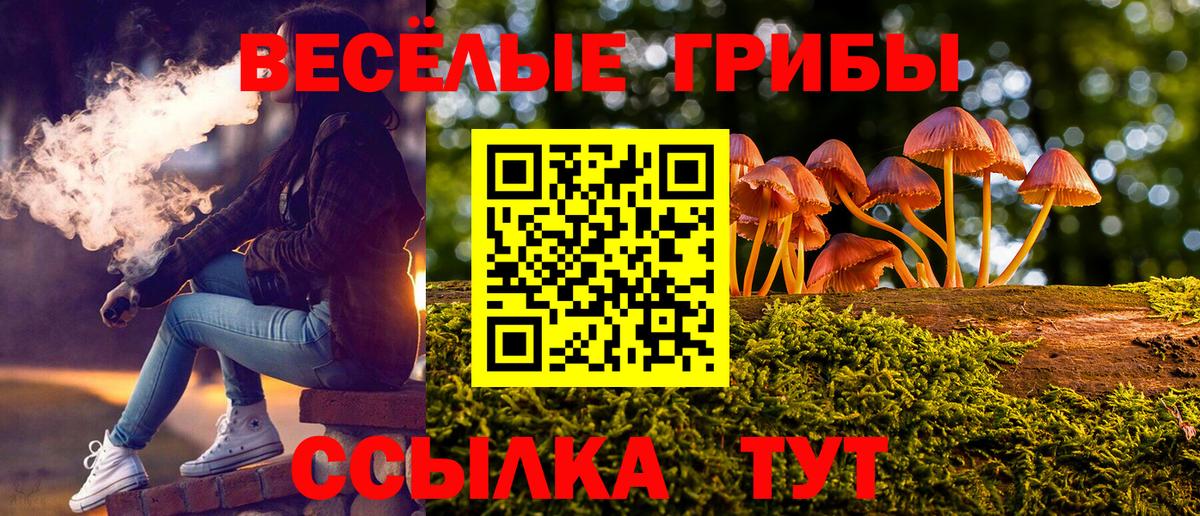 где купить   Псилоцибиновые грибы ЛСД  Вход с VPN  Армавир 
